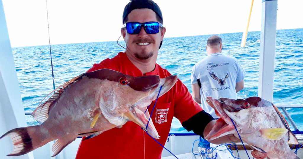 hogfish tampa fishing