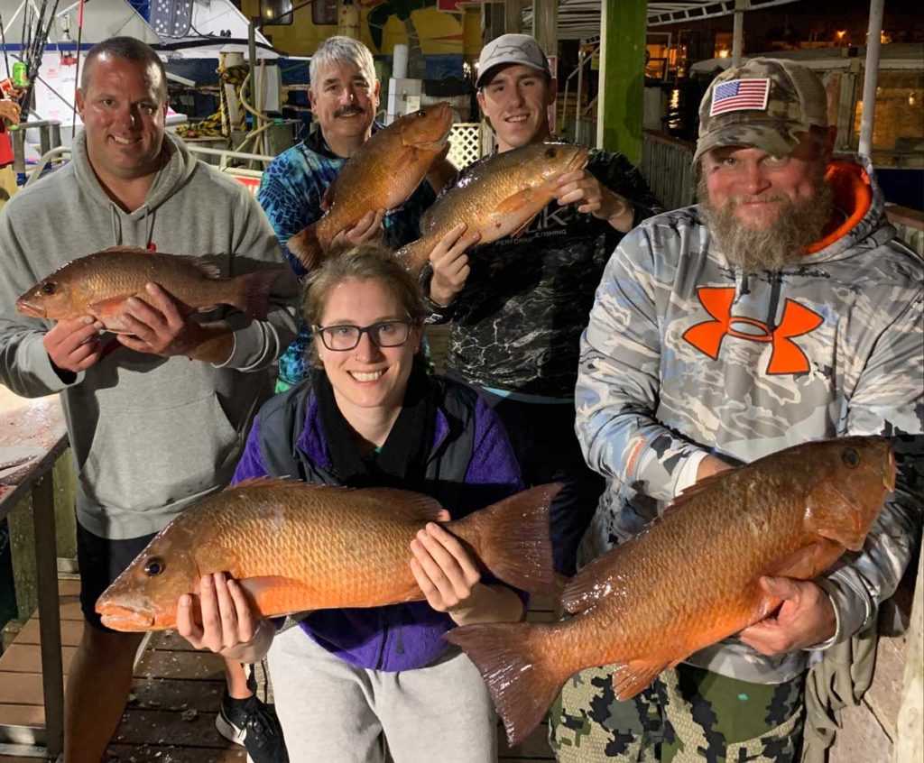 mangrove snapper tampa offshore