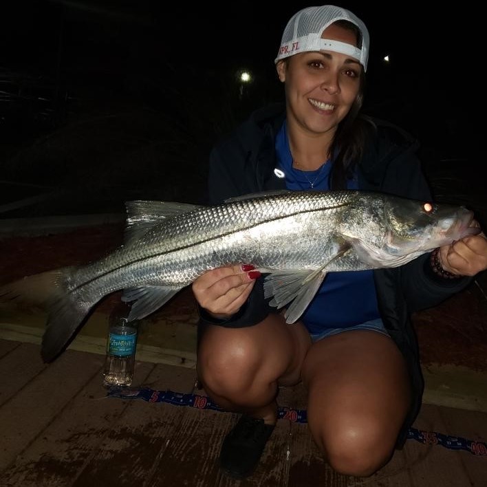 tampa snook fishing