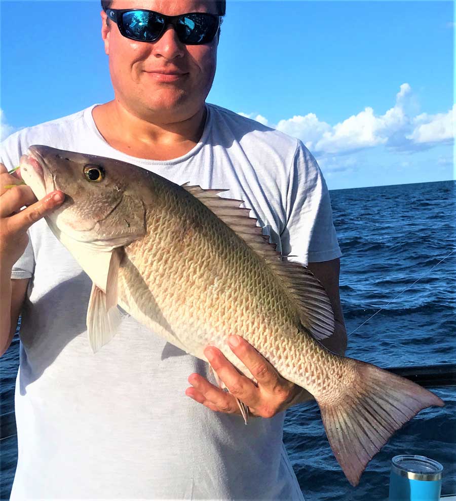 mangrove snapper fishing