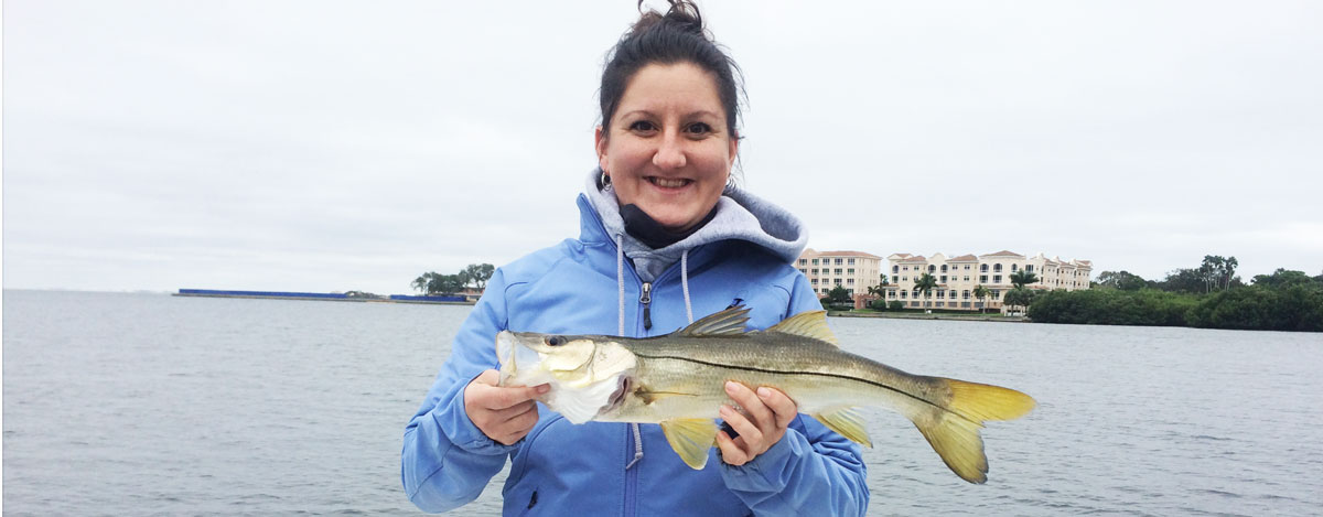 tampa snook fishing