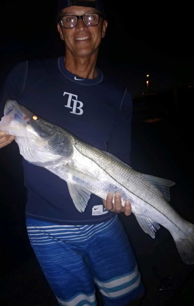 johns pass snook fishing