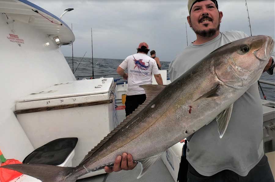 amberjack fishing