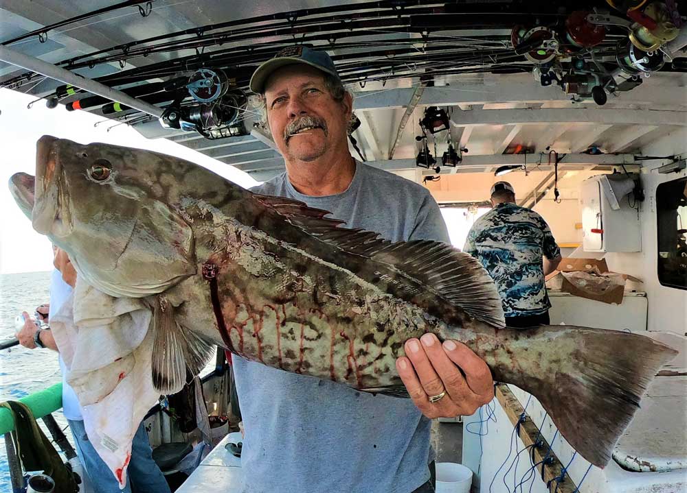 Tampa offshore gag grouper