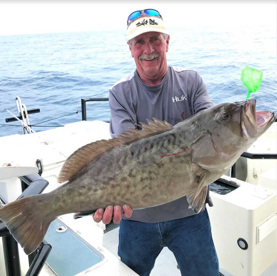 Gag Grouper Closed as of the First BayBite