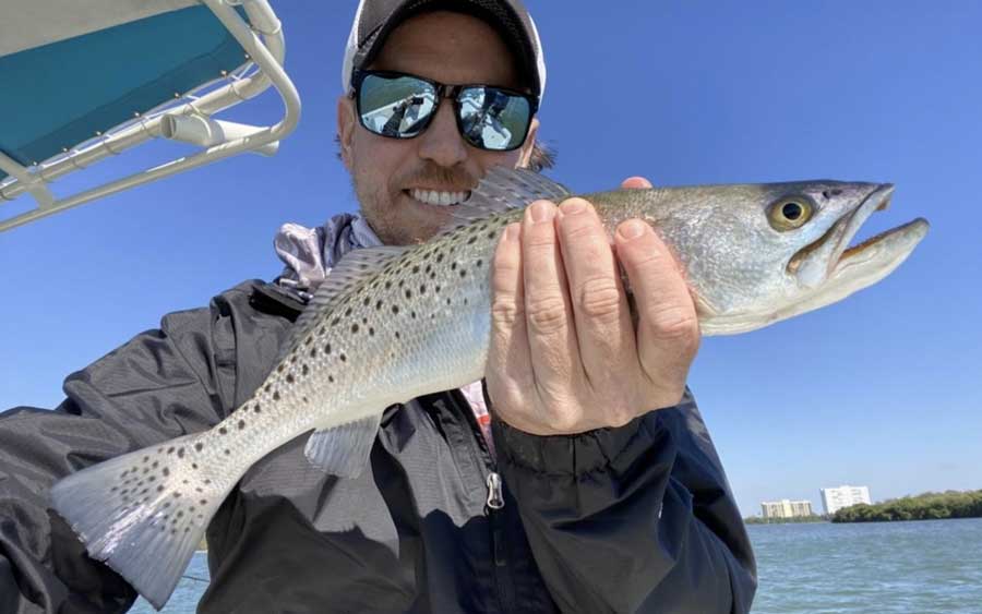 trout fishing tampa