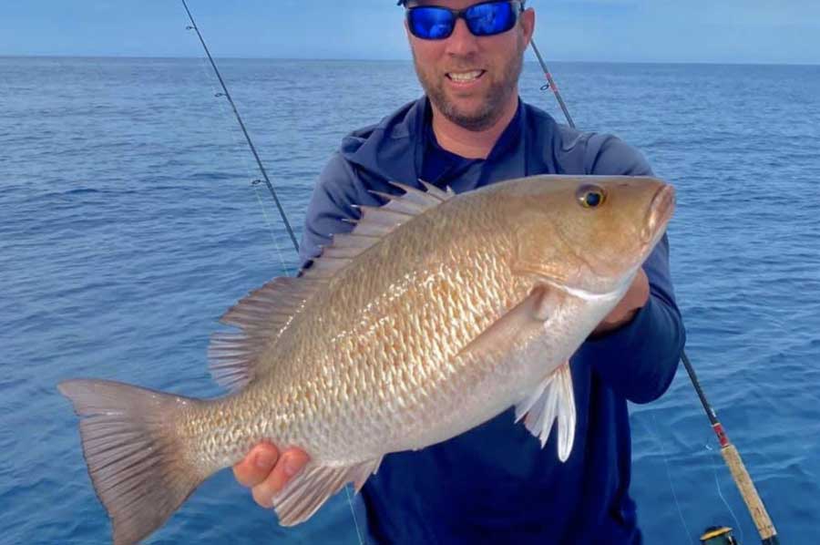 Anglers report the mangrove snapper bite is on fire