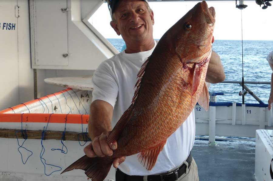 snapper fishing tampa